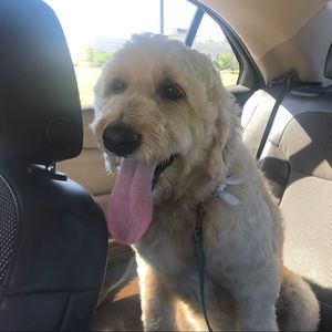 Meet your Posher, Mary catherine